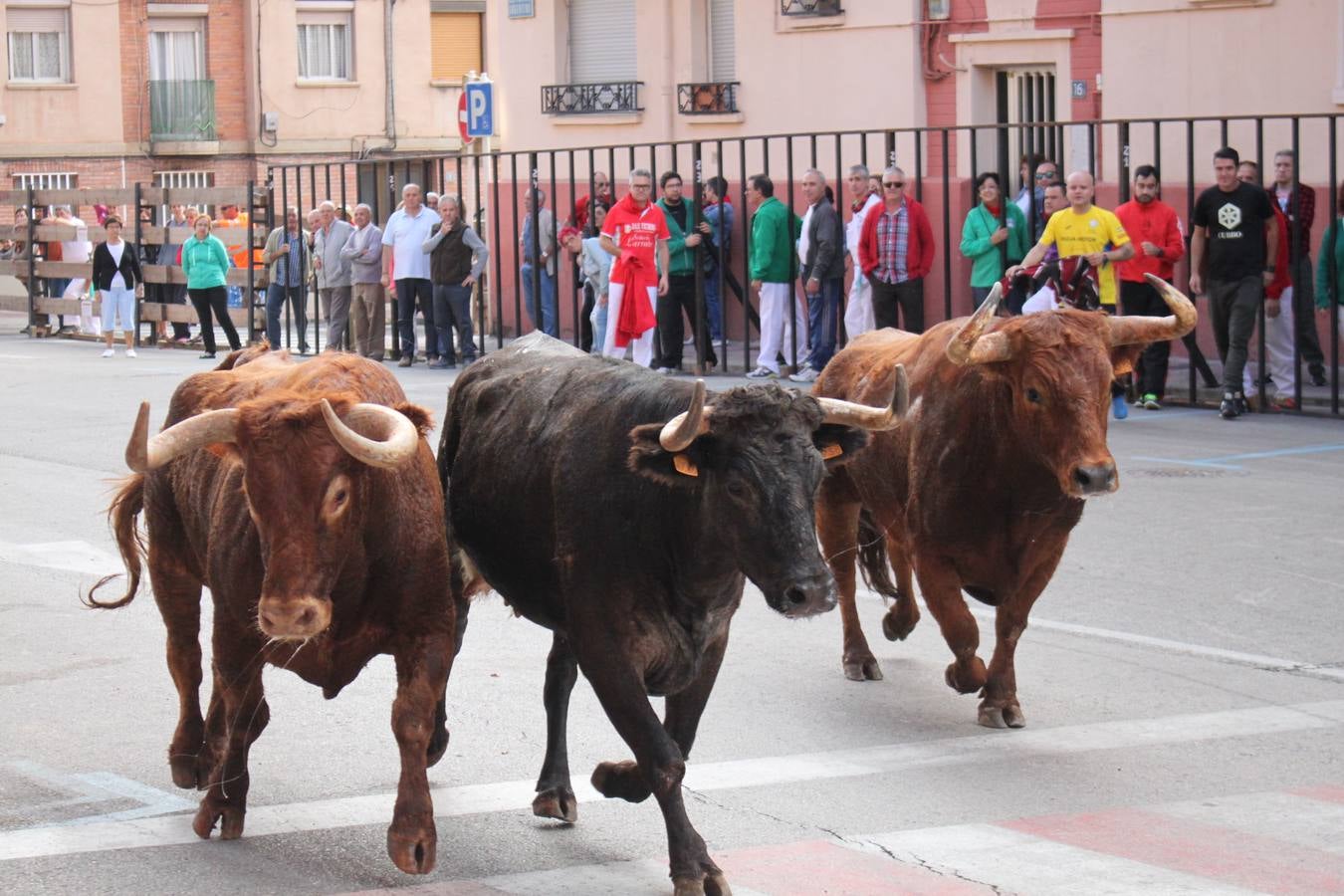 Arnedo se lanza a la calle en el tercer día de fiestas