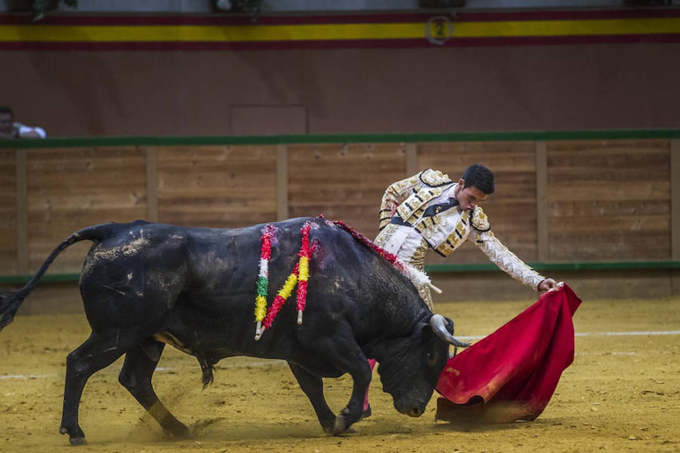 Novillada de Arnedo