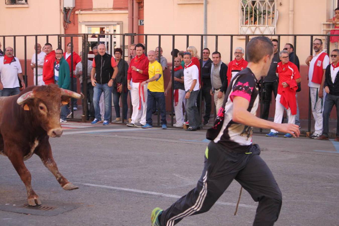 Cuarto día de fiestas en Arnedo