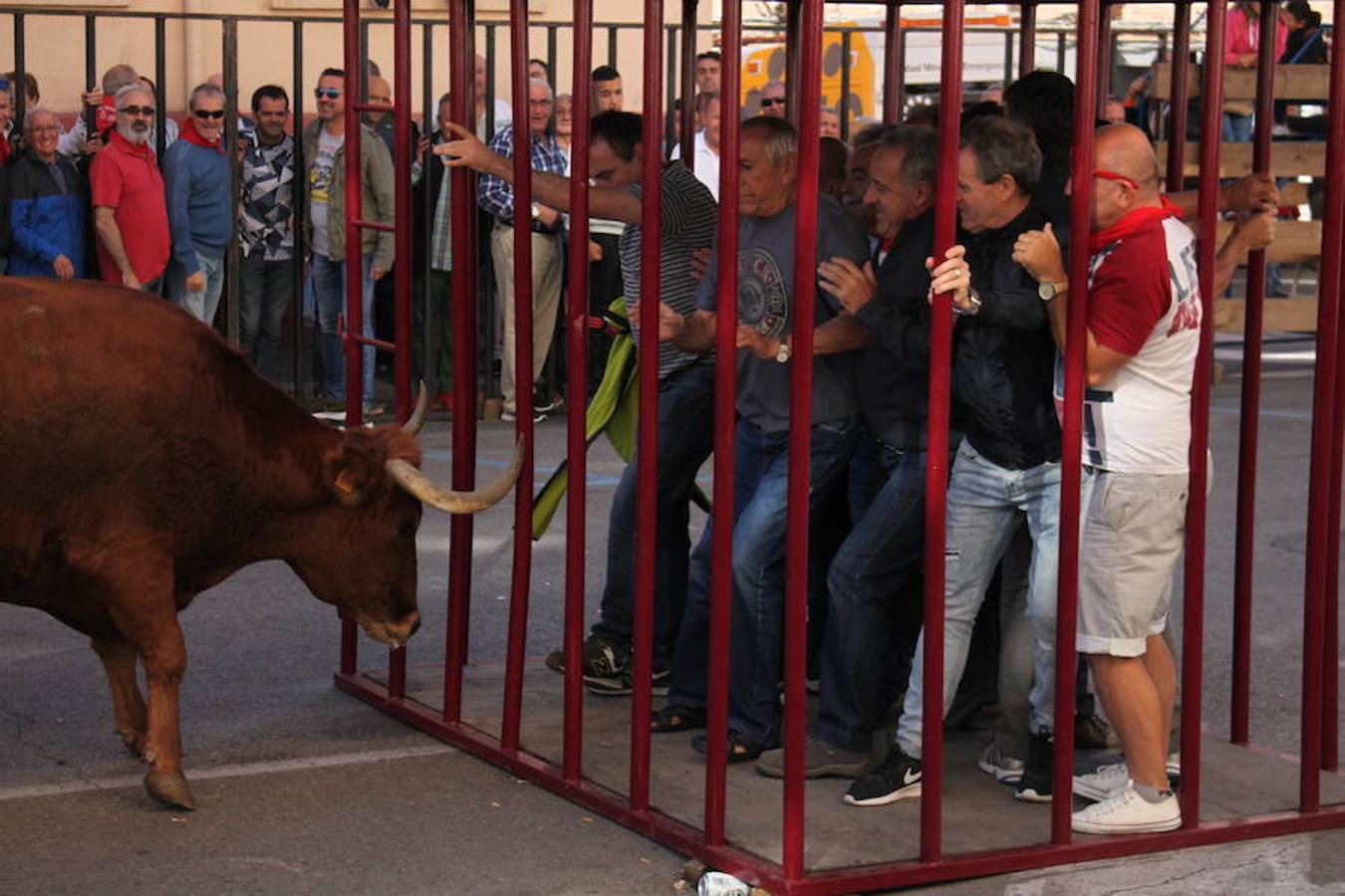 Cuarto día de fiestas en Arnedo