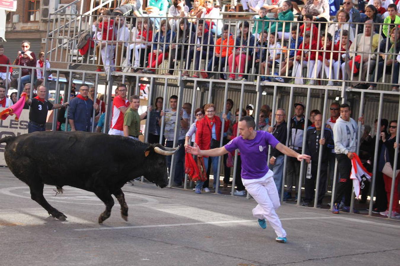 Cuarto día de fiestas en Arnedo