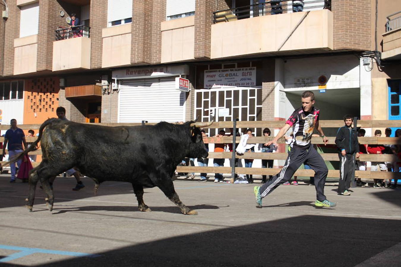 Cuarto día de fiestas en Arnedo