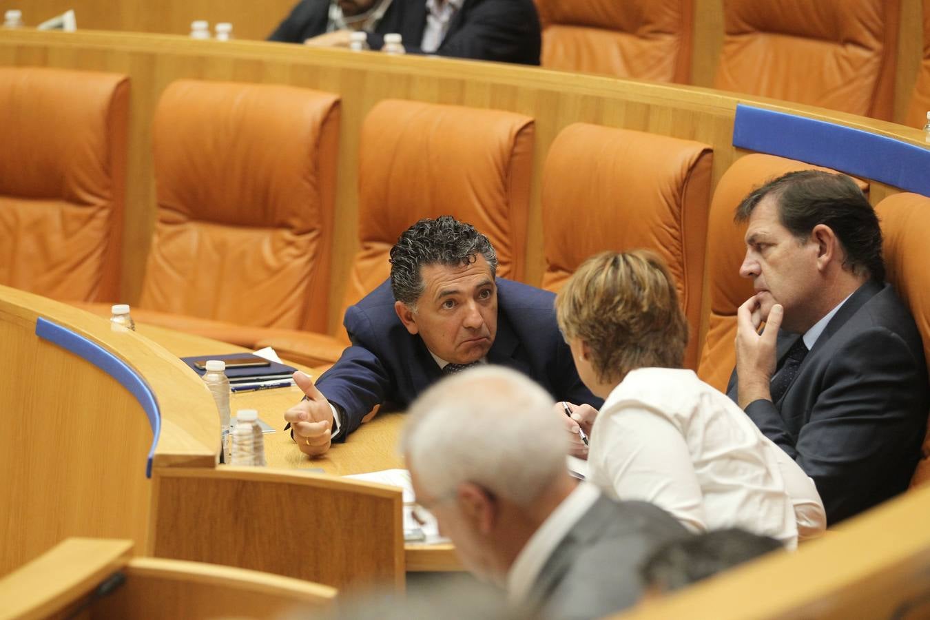 Los gestos en el Pleno del Parlamento riojano