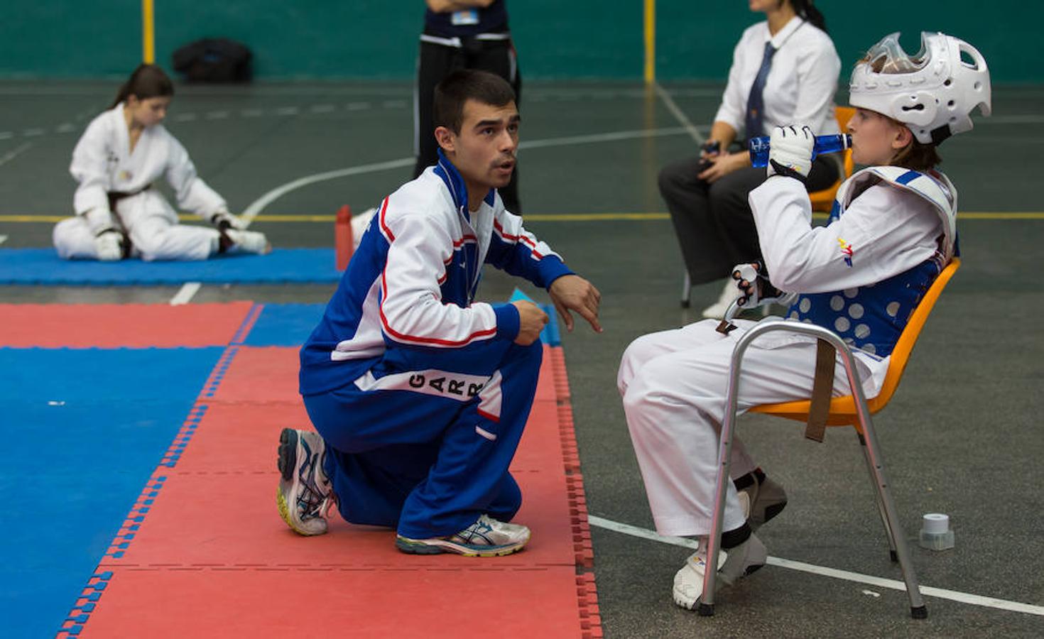 Torneo de la Vendimia de taekwondo