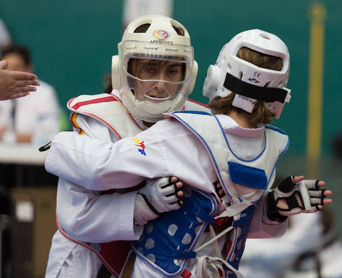 Torneo de la Vendimia de taekwondo