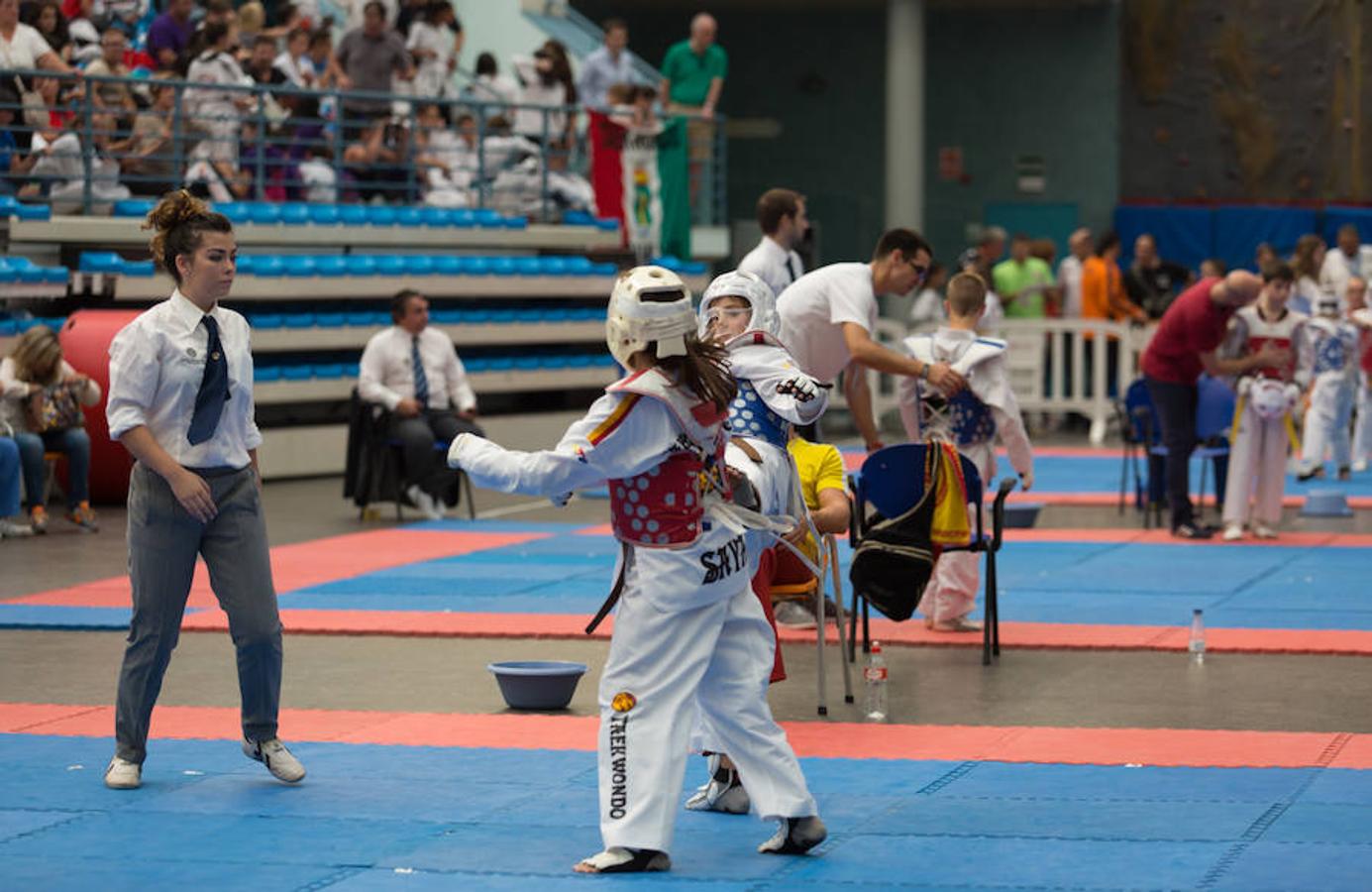 Torneo de la Vendimia de taekwondo