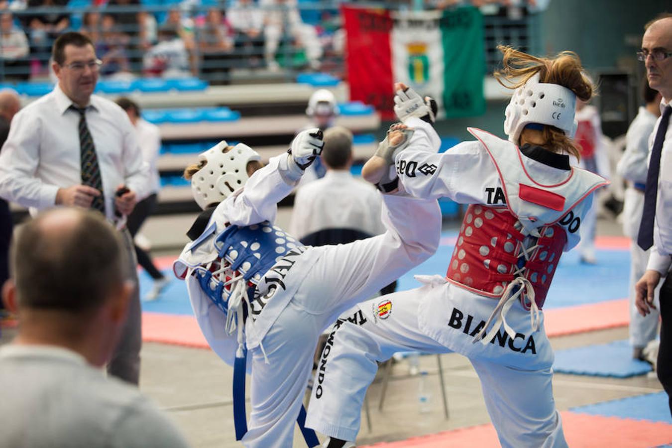 Torneo de la Vendimia de taekwondo