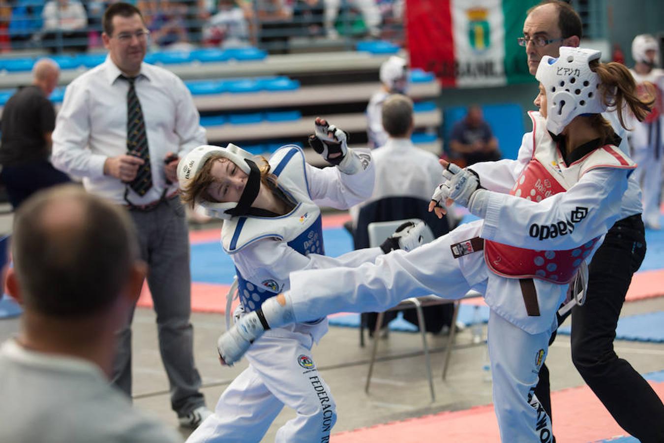 Torneo de la Vendimia de taekwondo