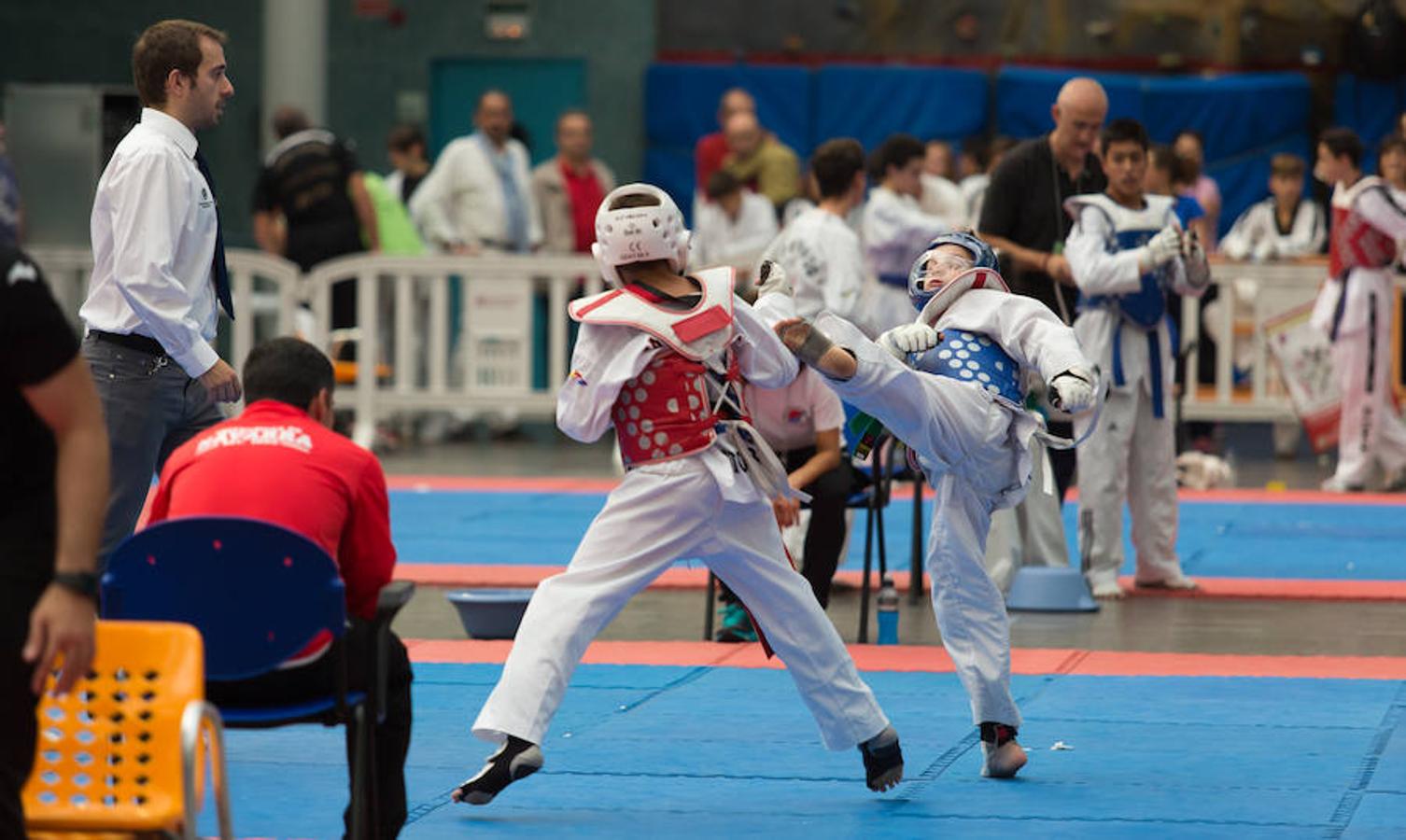 Torneo de la Vendimia de taekwondo