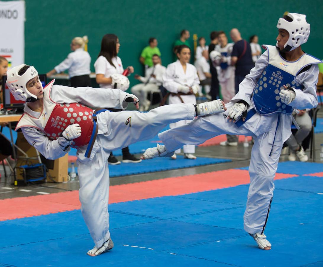 Torneo de la Vendimia de taekwondo