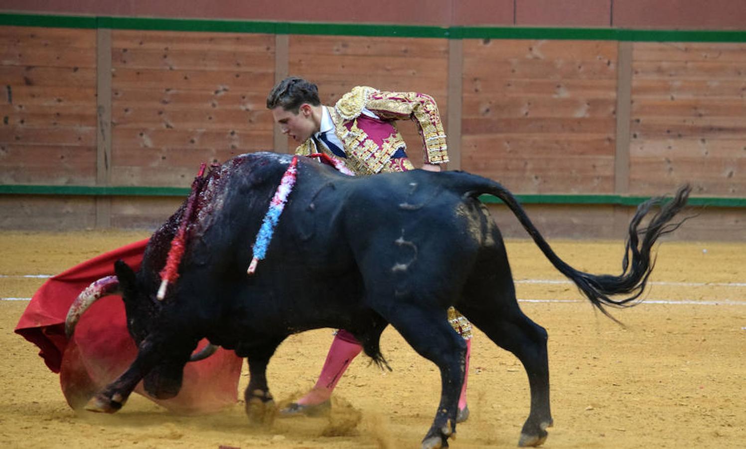 Última novillada de Arnedo