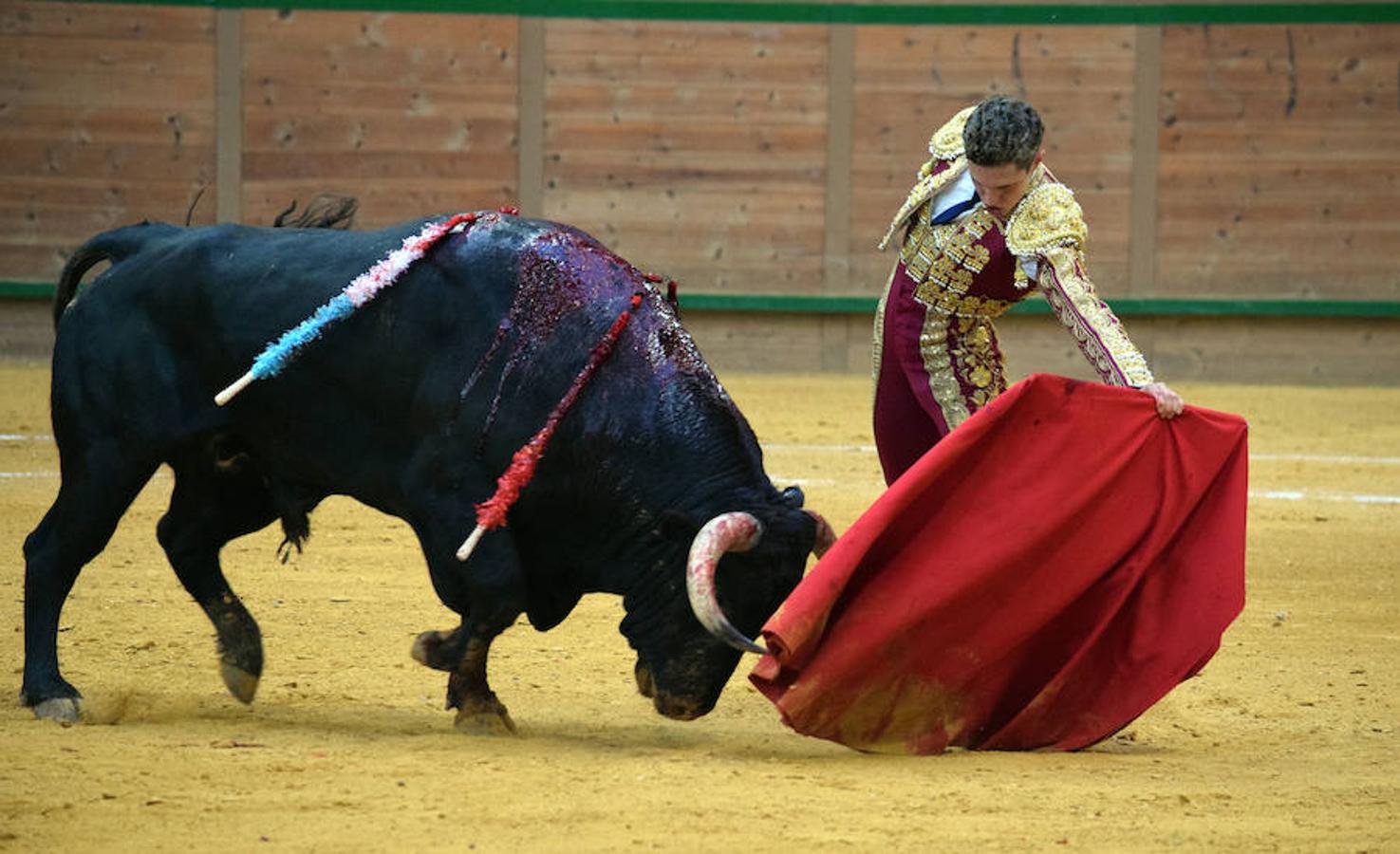 Última novillada de Arnedo