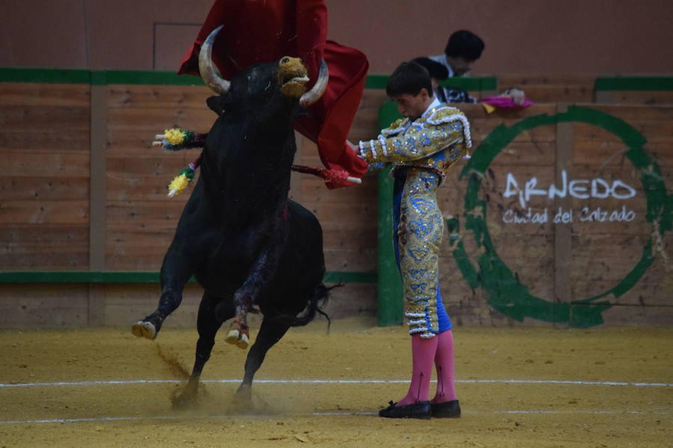 Última novillada de Arnedo