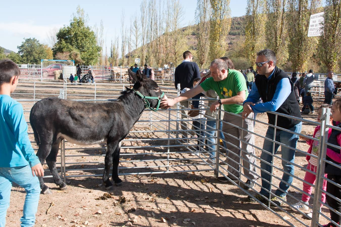 Feria de artesanía y ganadería en Ojacastro