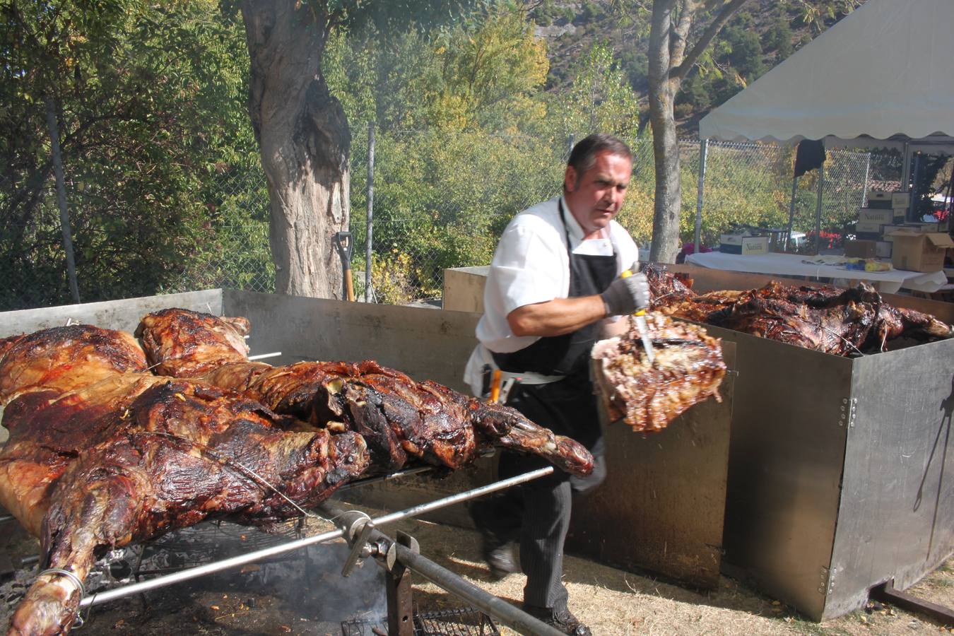 Jornada de la Ternera Asada en Enciso