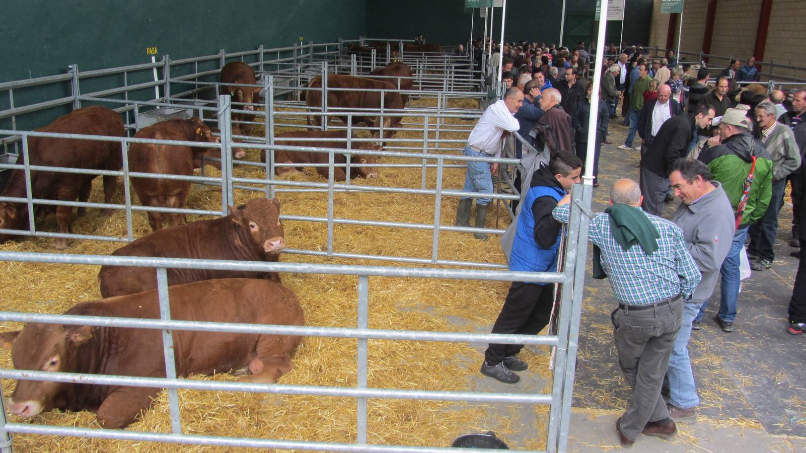 Feria de Ganado Selecto del Camero Nuevo