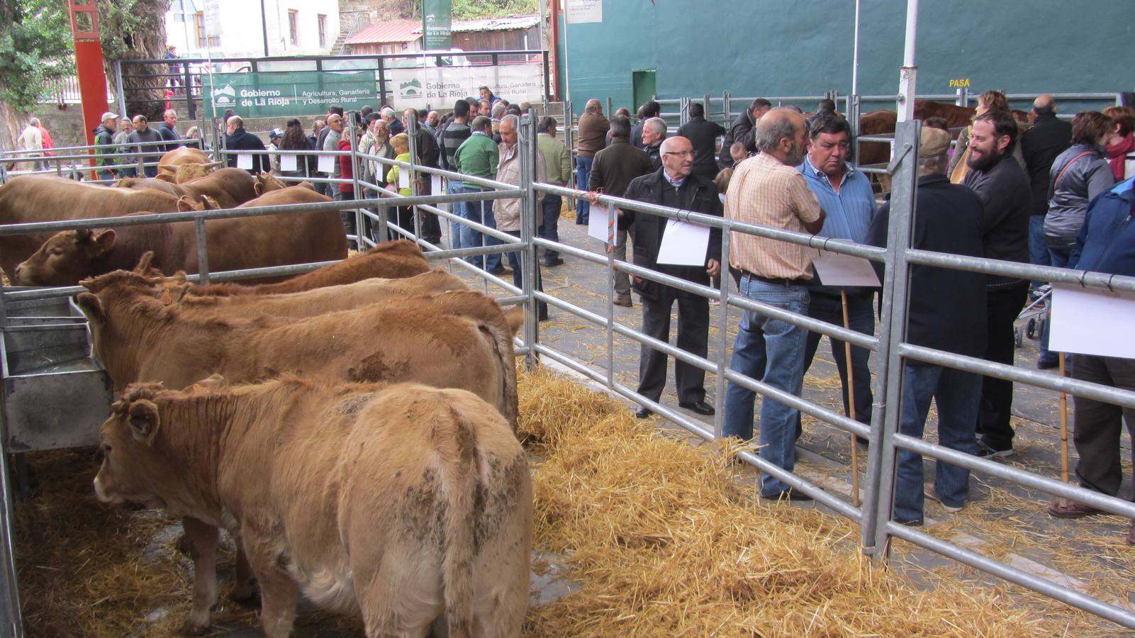 Feria de Ganado Selecto del Camero Nuevo