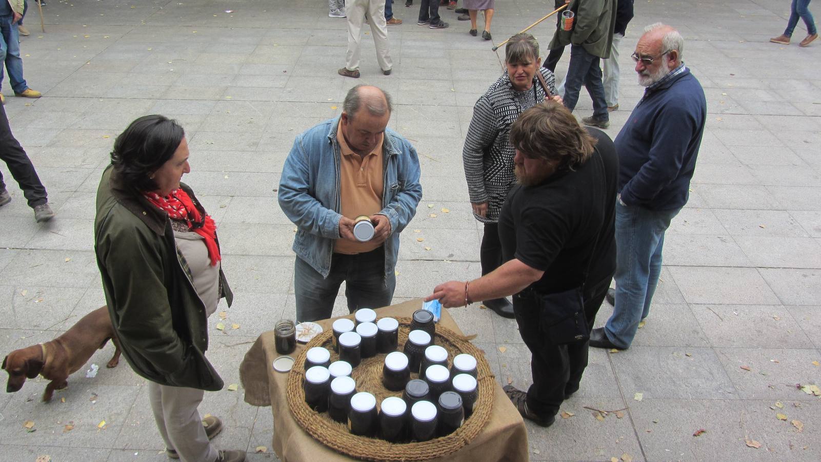 Feria de Ganado Selecto del Camero Nuevo