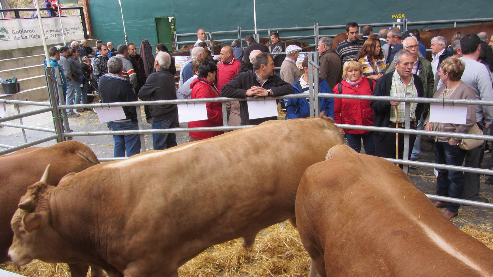 Feria de Ganado Selecto del Camero Nuevo