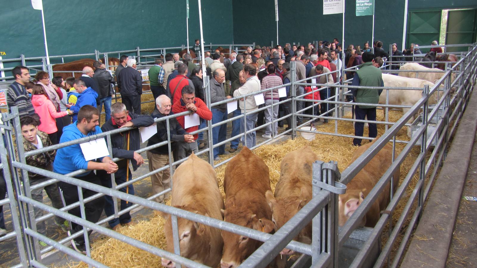 Feria de Ganado Selecto del Camero Nuevo