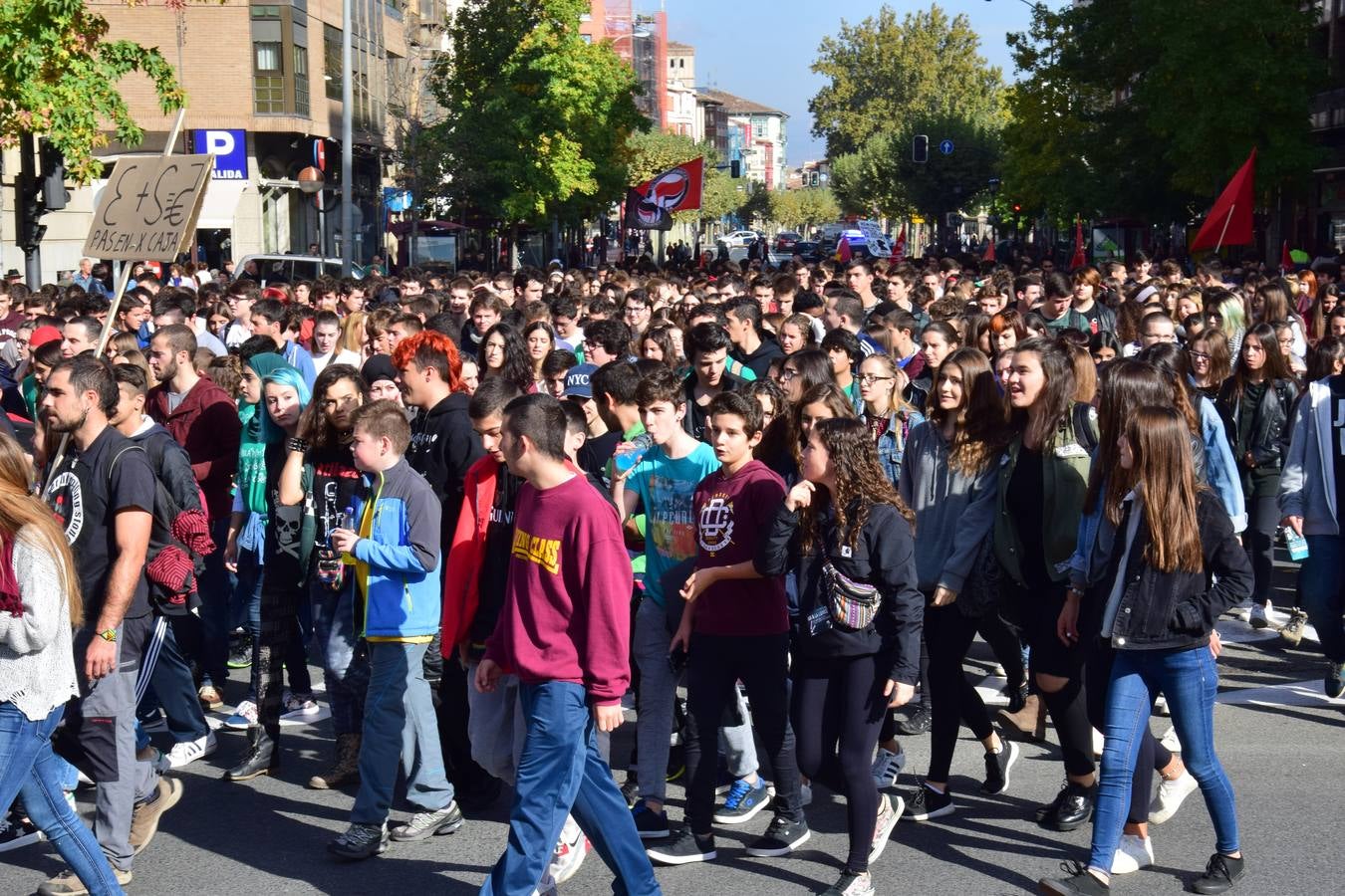 Manifestación de estudiantes en Logroño contra las reválidas y la LOMCE