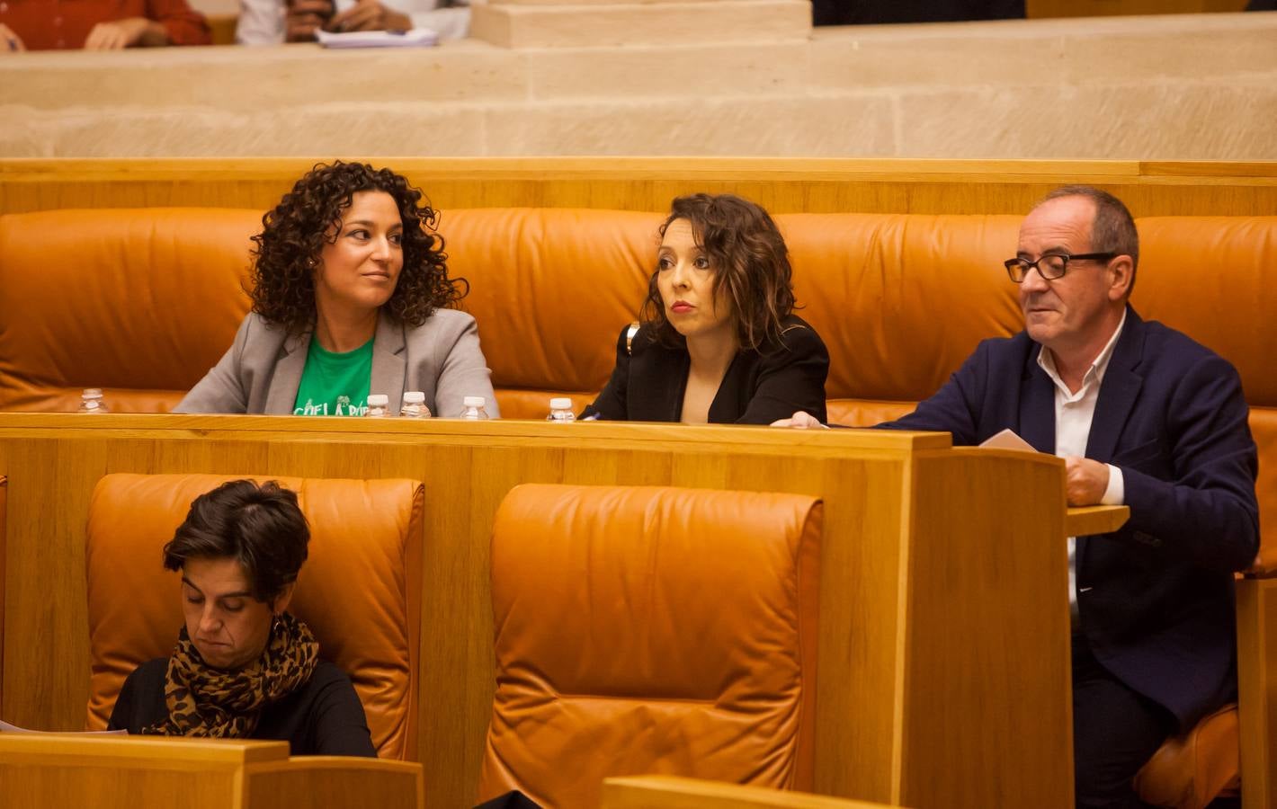 Los gestos del Pleno en el Parlamento riojano