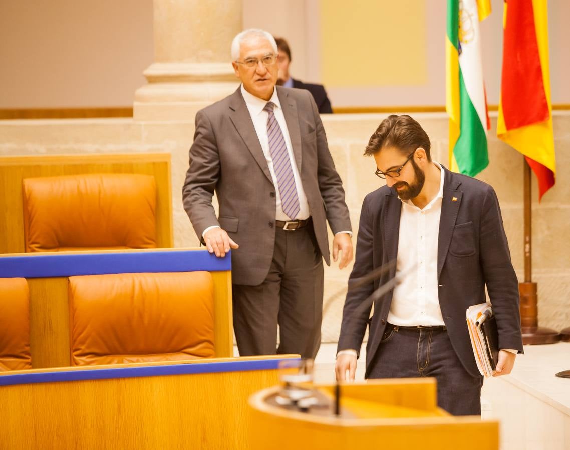 Los gestos del Pleno en el Parlamento riojano