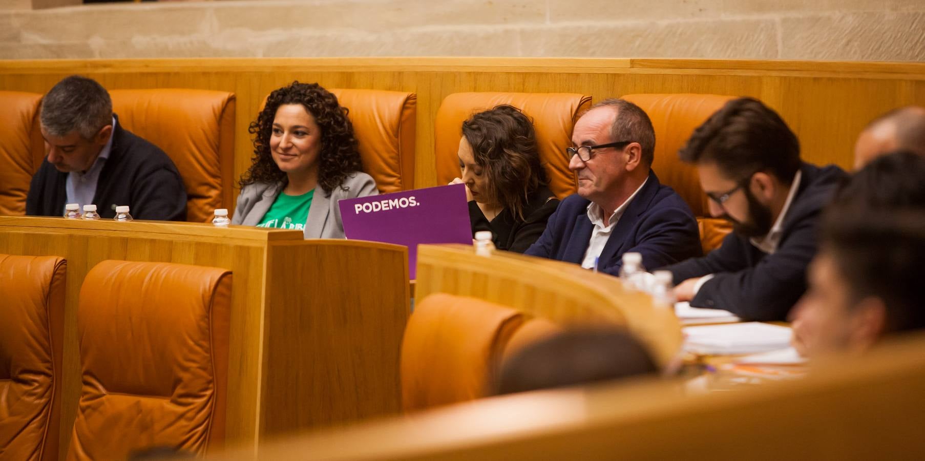 Los gestos del Pleno en el Parlamento riojano