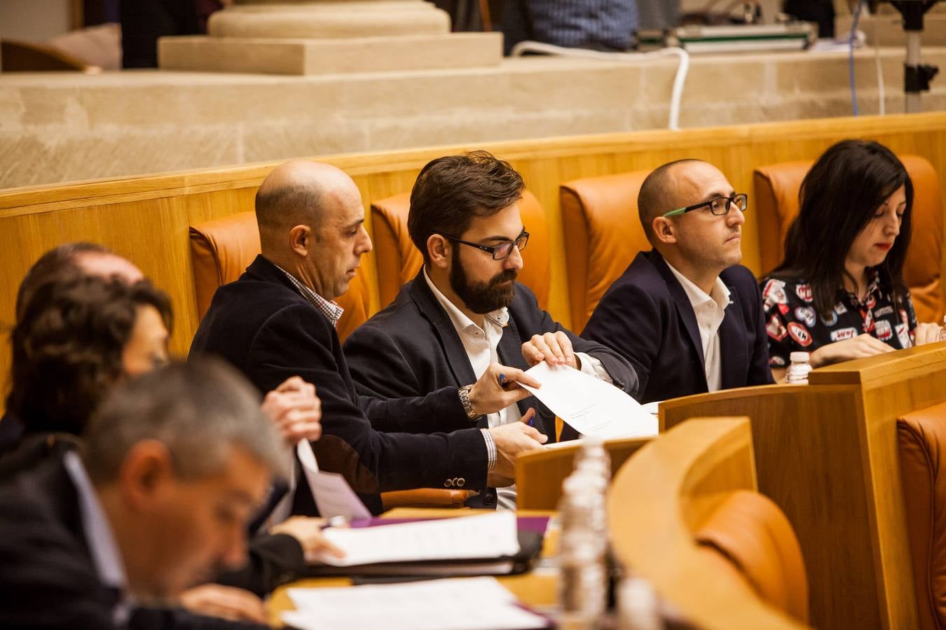 Los gestos del Pleno en el Parlamento riojano