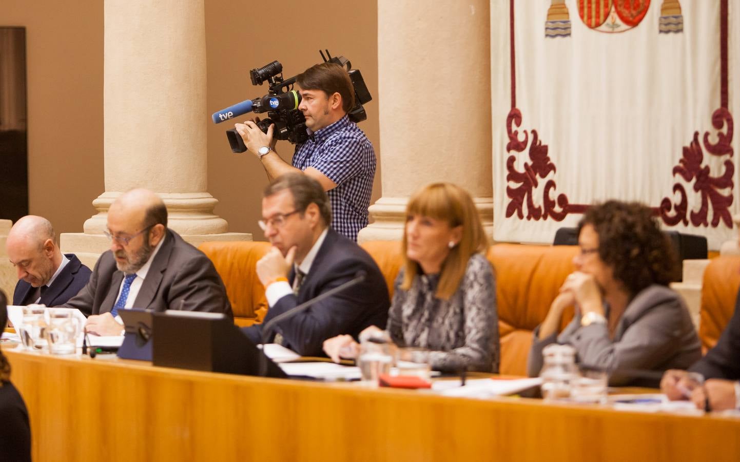 Los gestos del Pleno en el Parlamento riojano