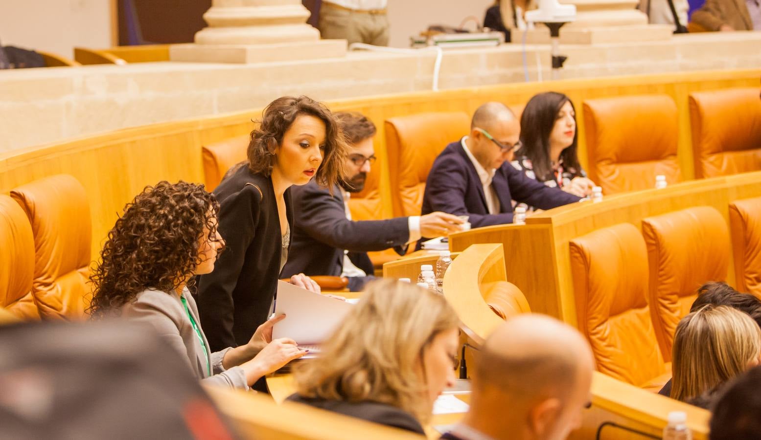 Los gestos del Pleno en el Parlamento riojano