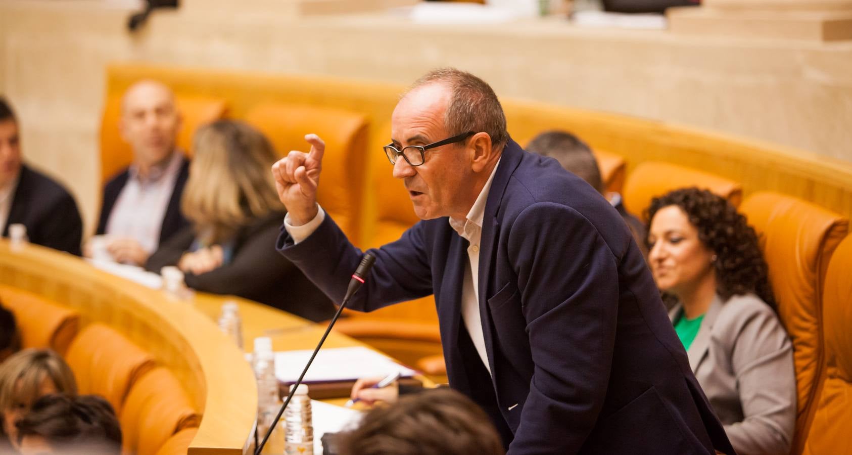 Los gestos del Pleno en el Parlamento riojano