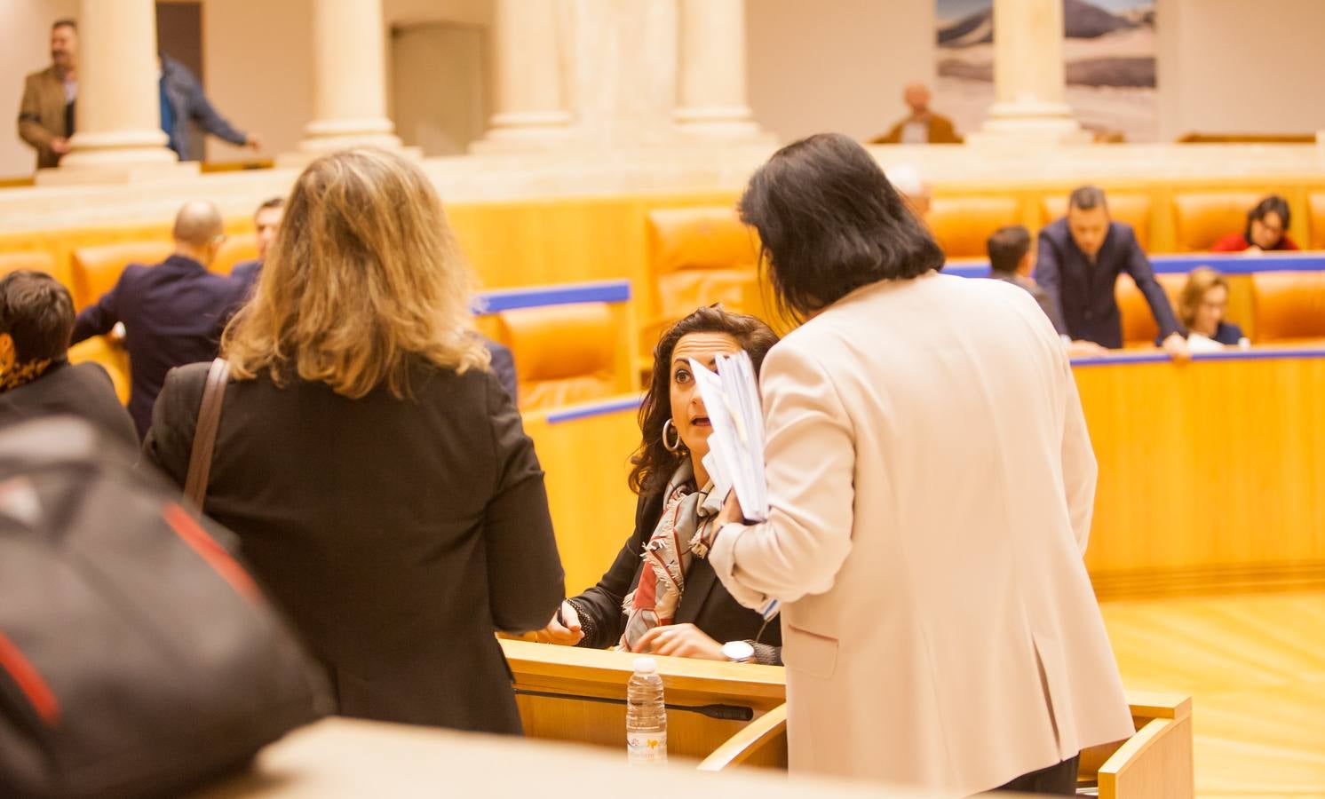 Los gestos del Pleno en el Parlamento riojano