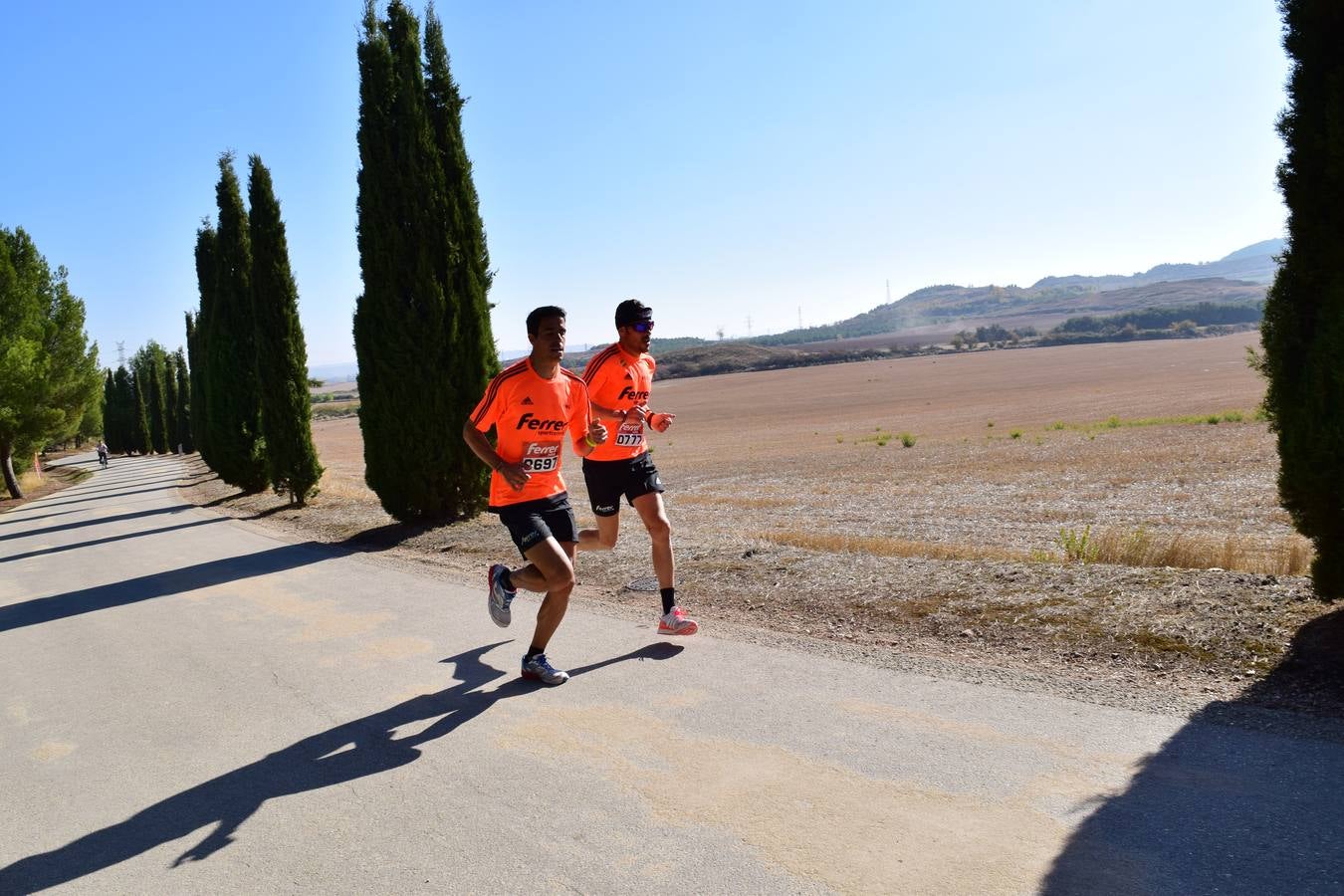 Celebración de la V Carrera Popular Ferrer Sport Center