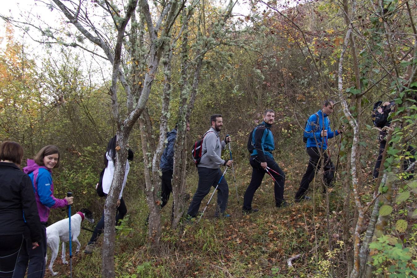 El otoño cambia el paisaje riojano