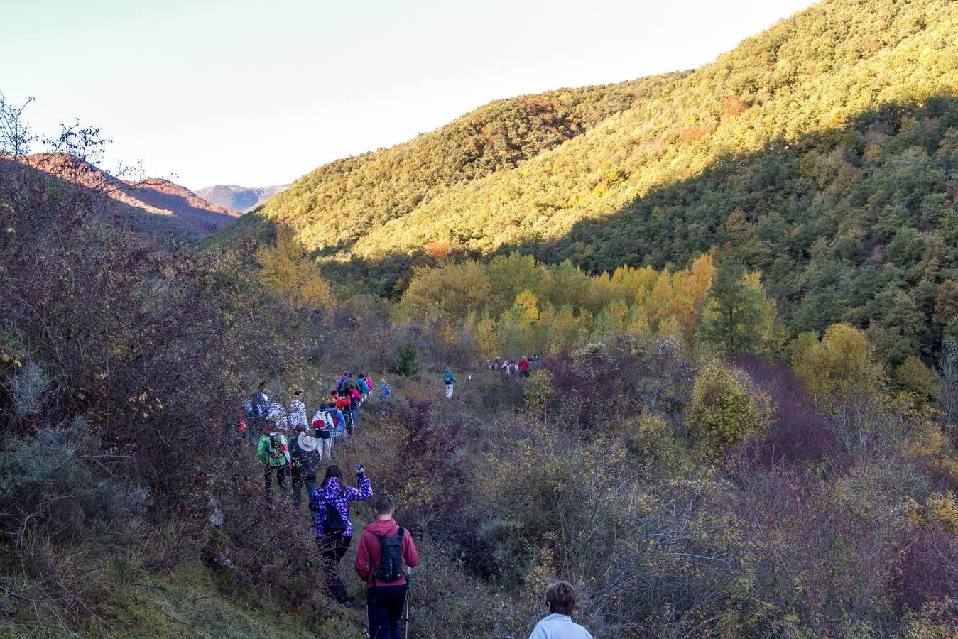 El otoño cambia el paisaje riojano