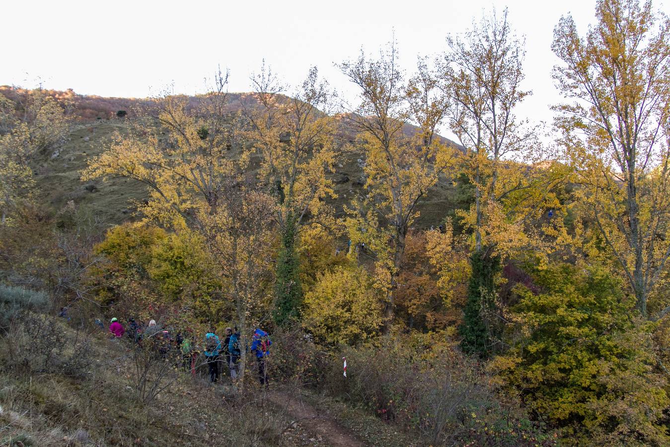 El otoño cambia el paisaje riojano