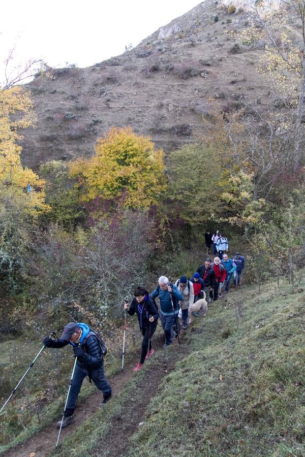 El otoño cambia el paisaje riojano