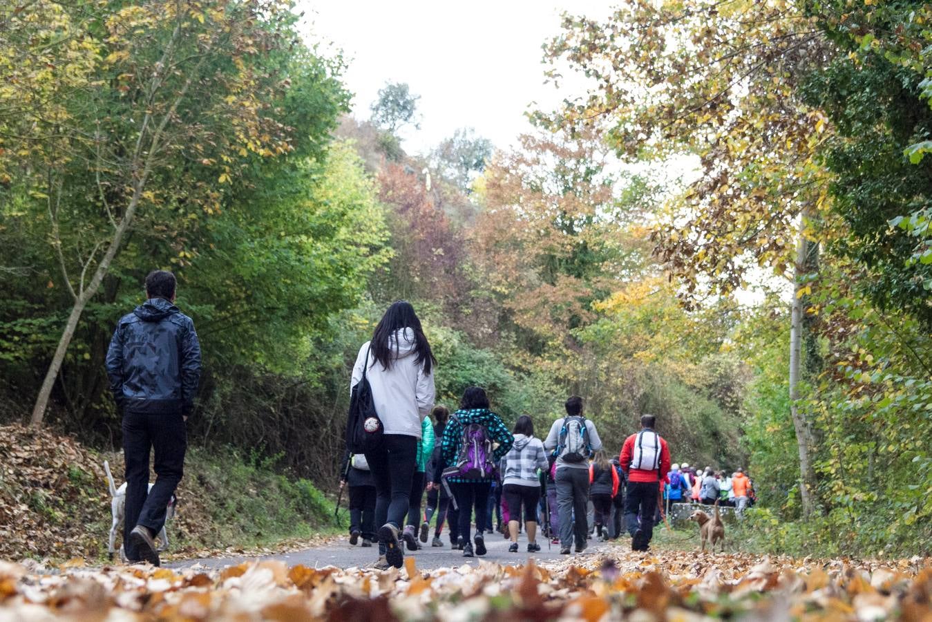 El otoño cambia el paisaje riojano