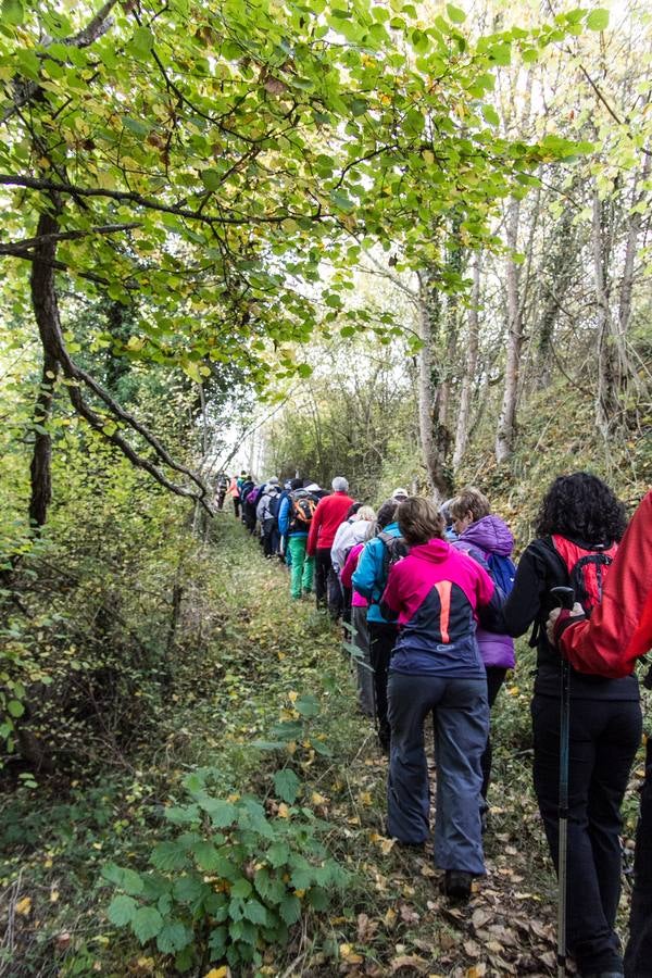 El otoño cambia el paisaje riojano