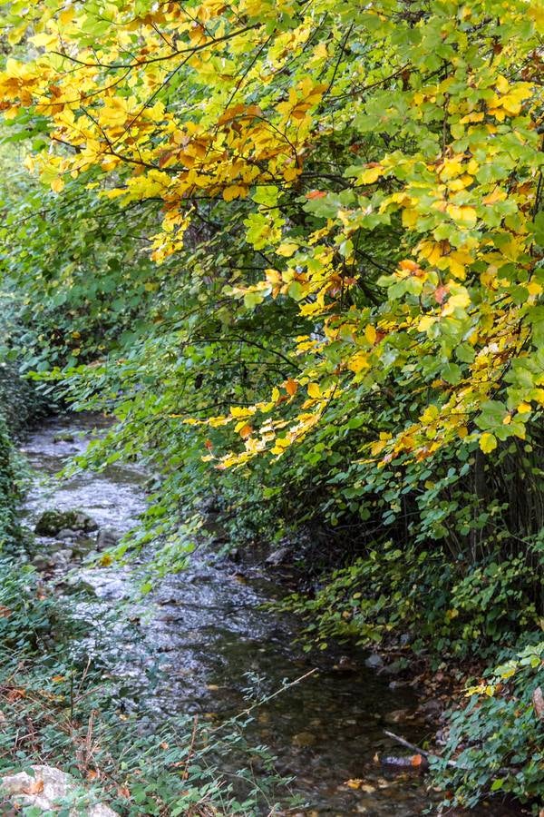 El otoño cambia el paisaje riojano