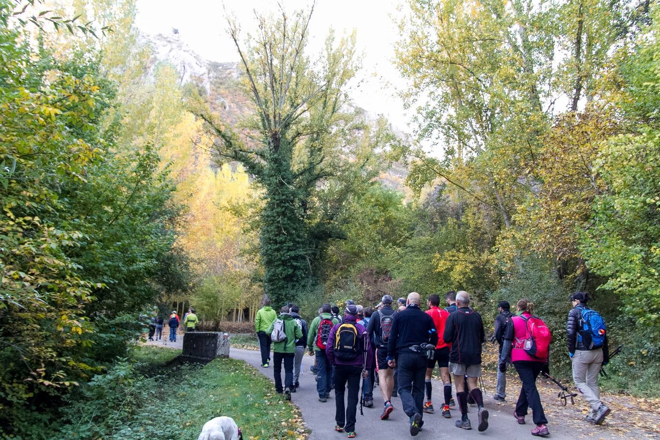 El otoño cambia el paisaje riojano