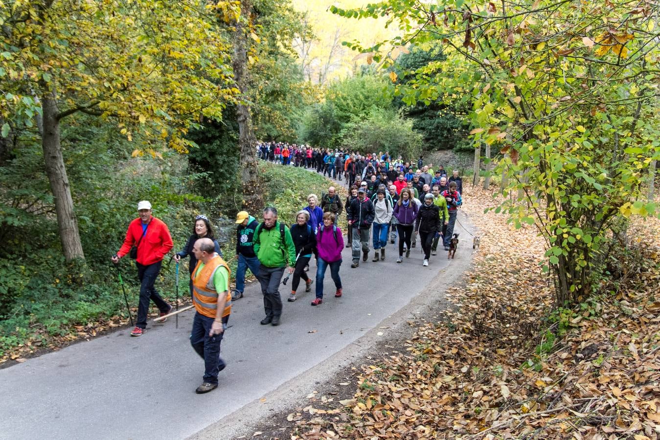 El otoño cambia el paisaje riojano