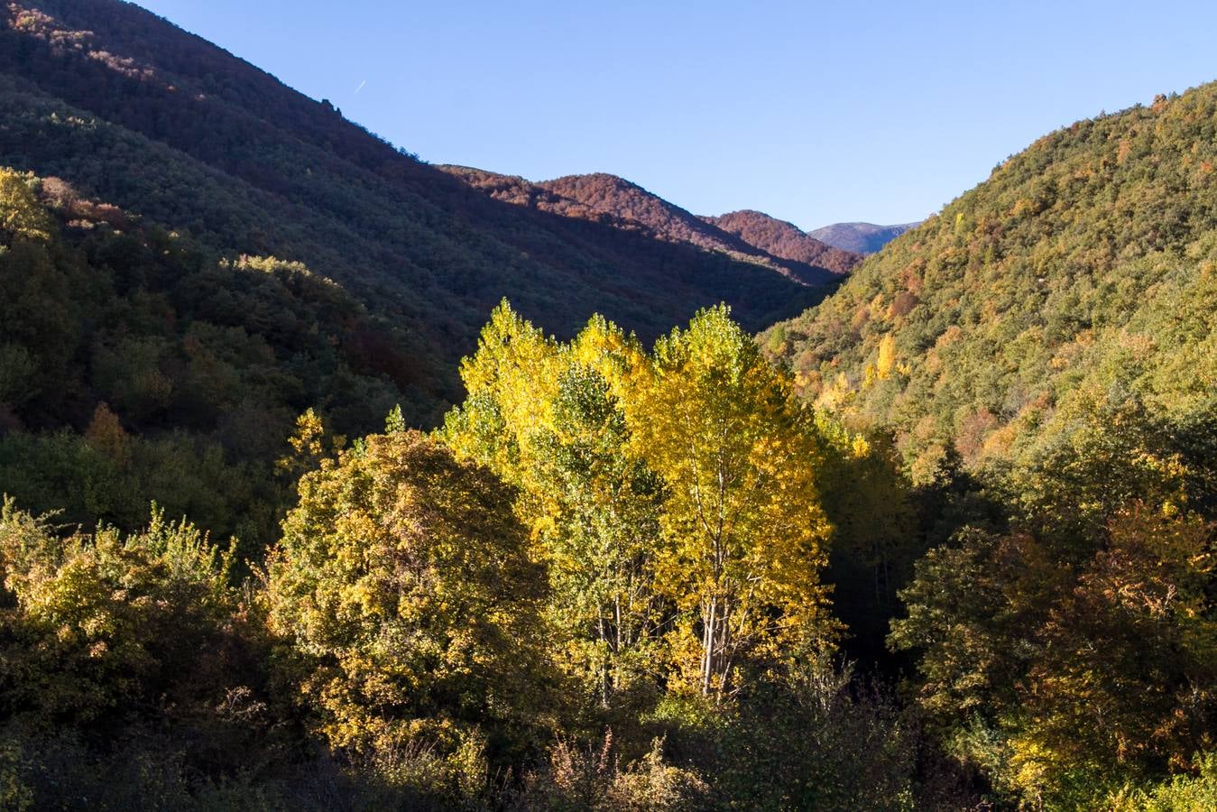 El otoño cambia el paisaje riojano