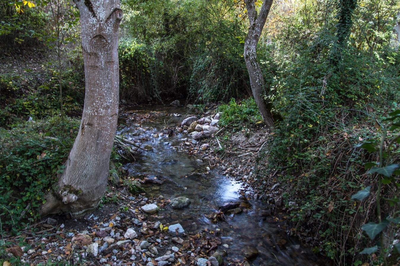 El otoño cambia el paisaje riojano