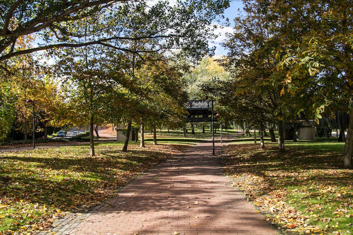 El otoño en Logroño