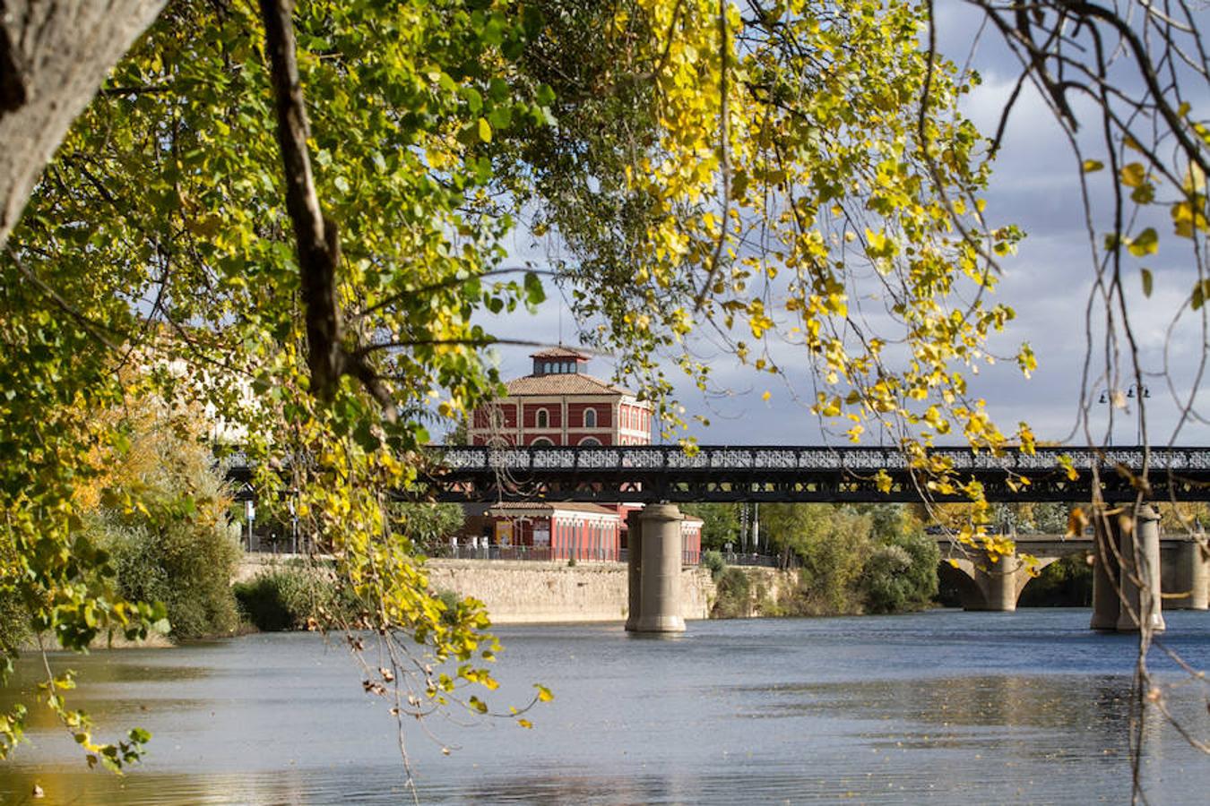 El otoño en Logroño