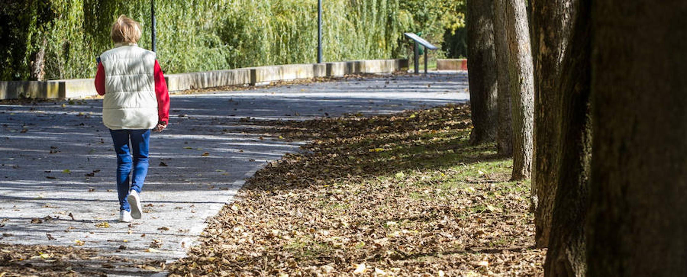 El otoño en Logroño