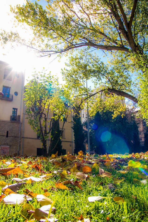 El otoño en Logroño