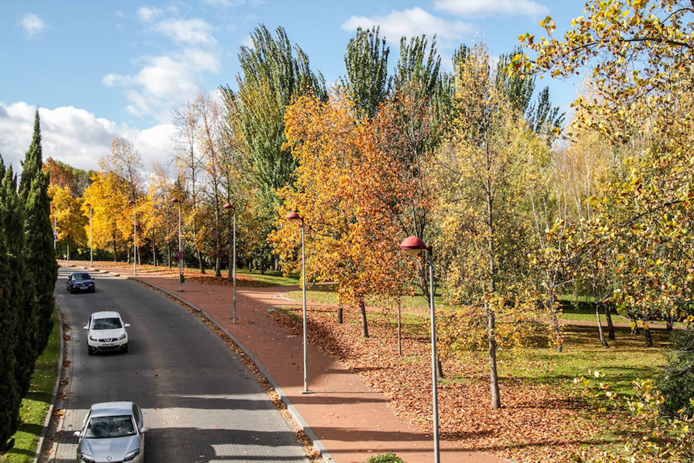 El otoño en Logroño